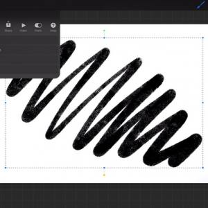 Pet Photography Services